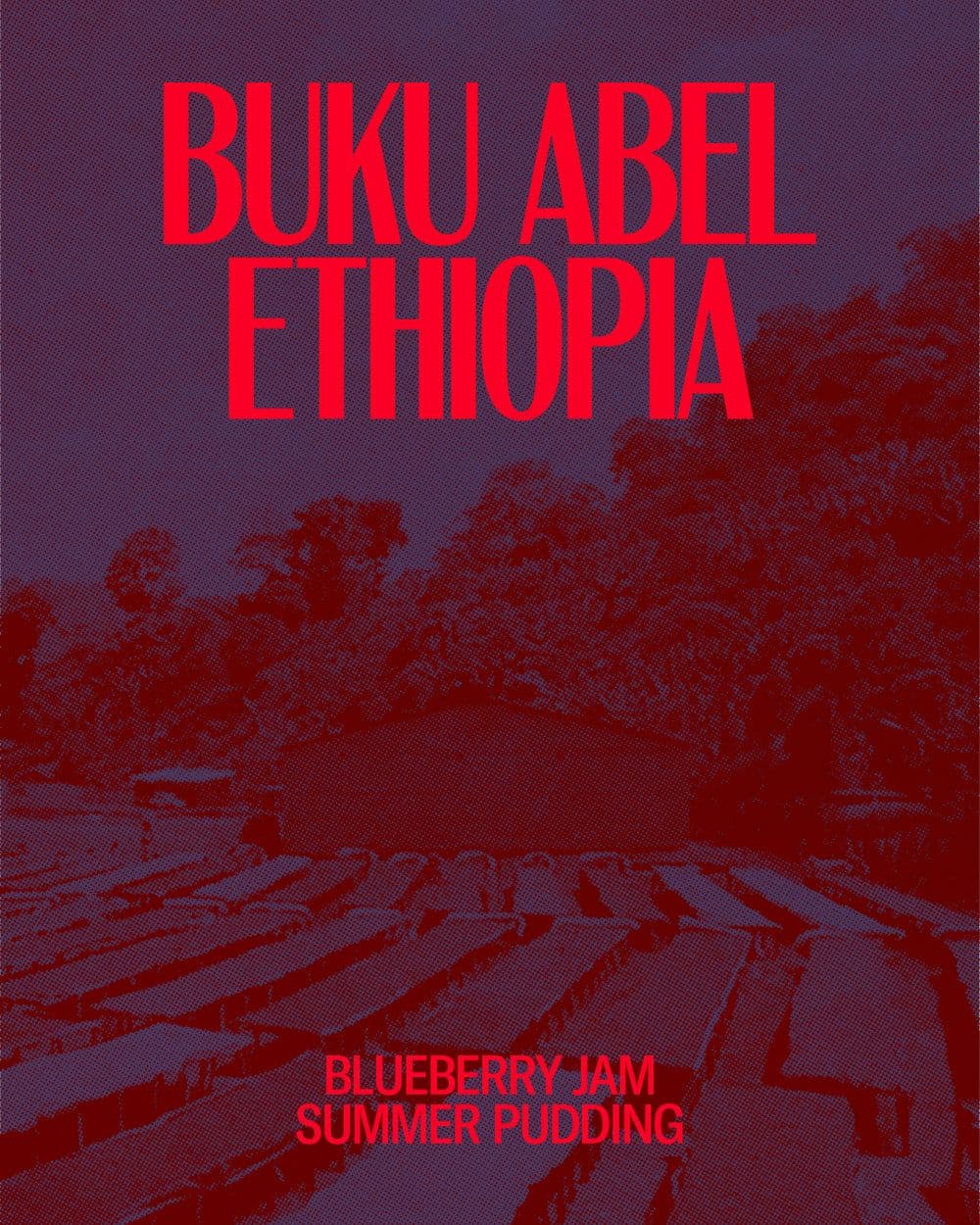Image of Buku Abel