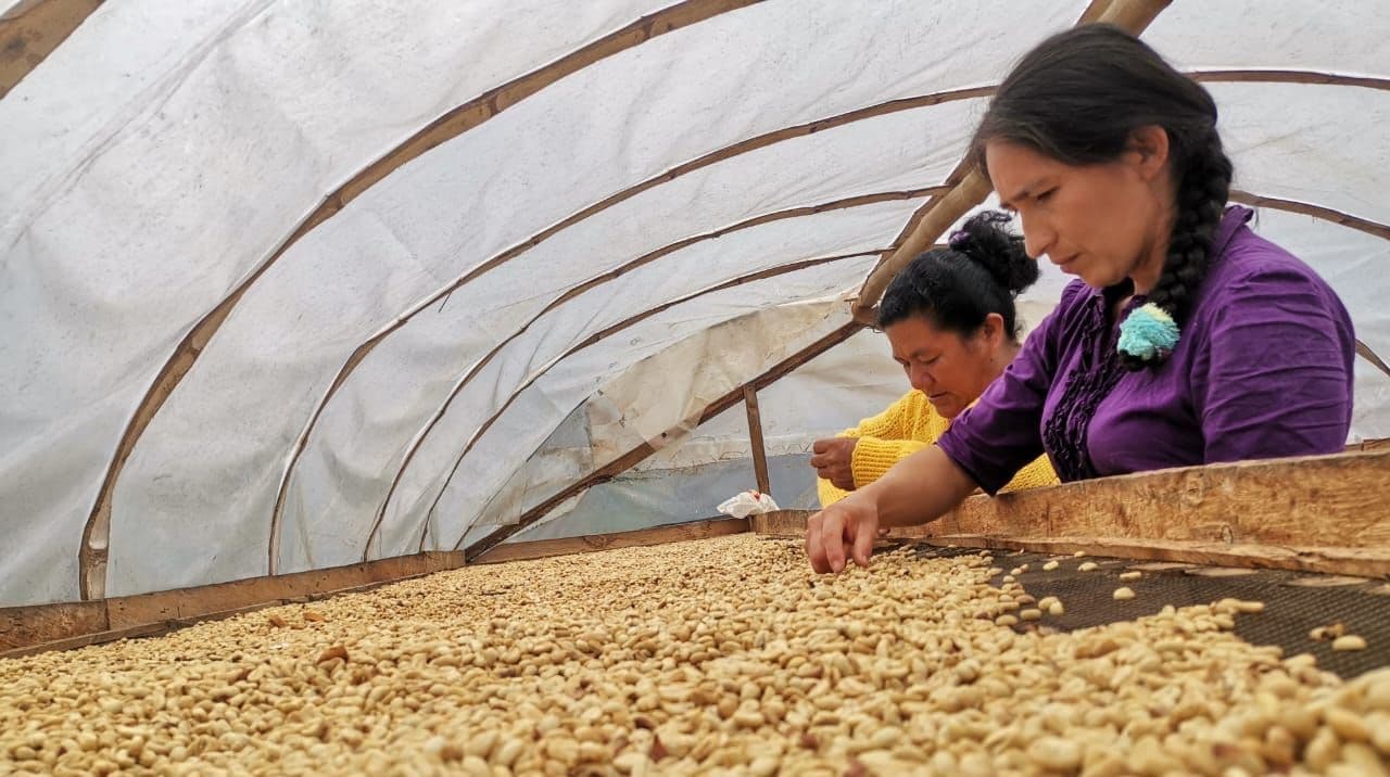 Image of Peru Las Damas de San Ignacio