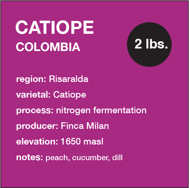 Image of  Colombia Catiope