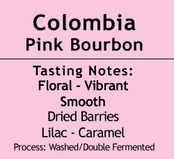 Image of Colombia - Pink Bourbon - Franco Huelgos