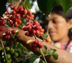 Image of Guatemala Huehuetenango