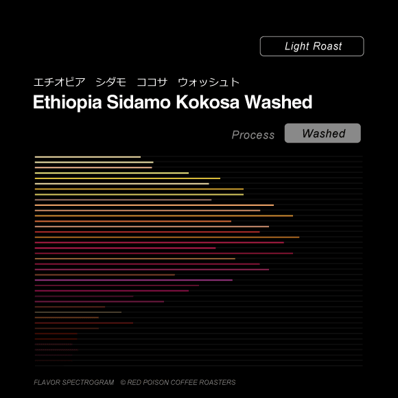 Image of Ethiopia Sidamo Kokosa Washed