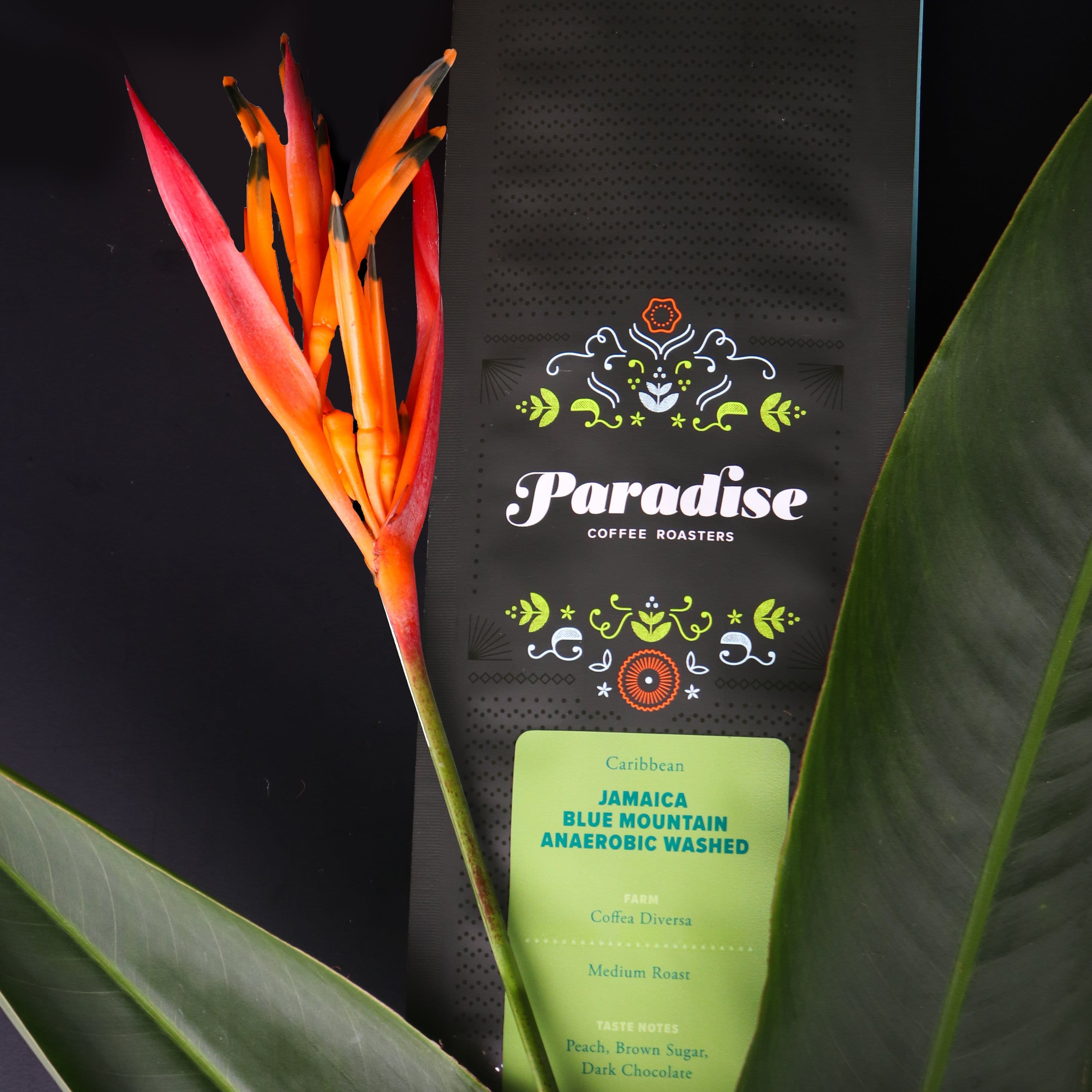 Image of Jamaica Blue Mountain Anaerobic Washed