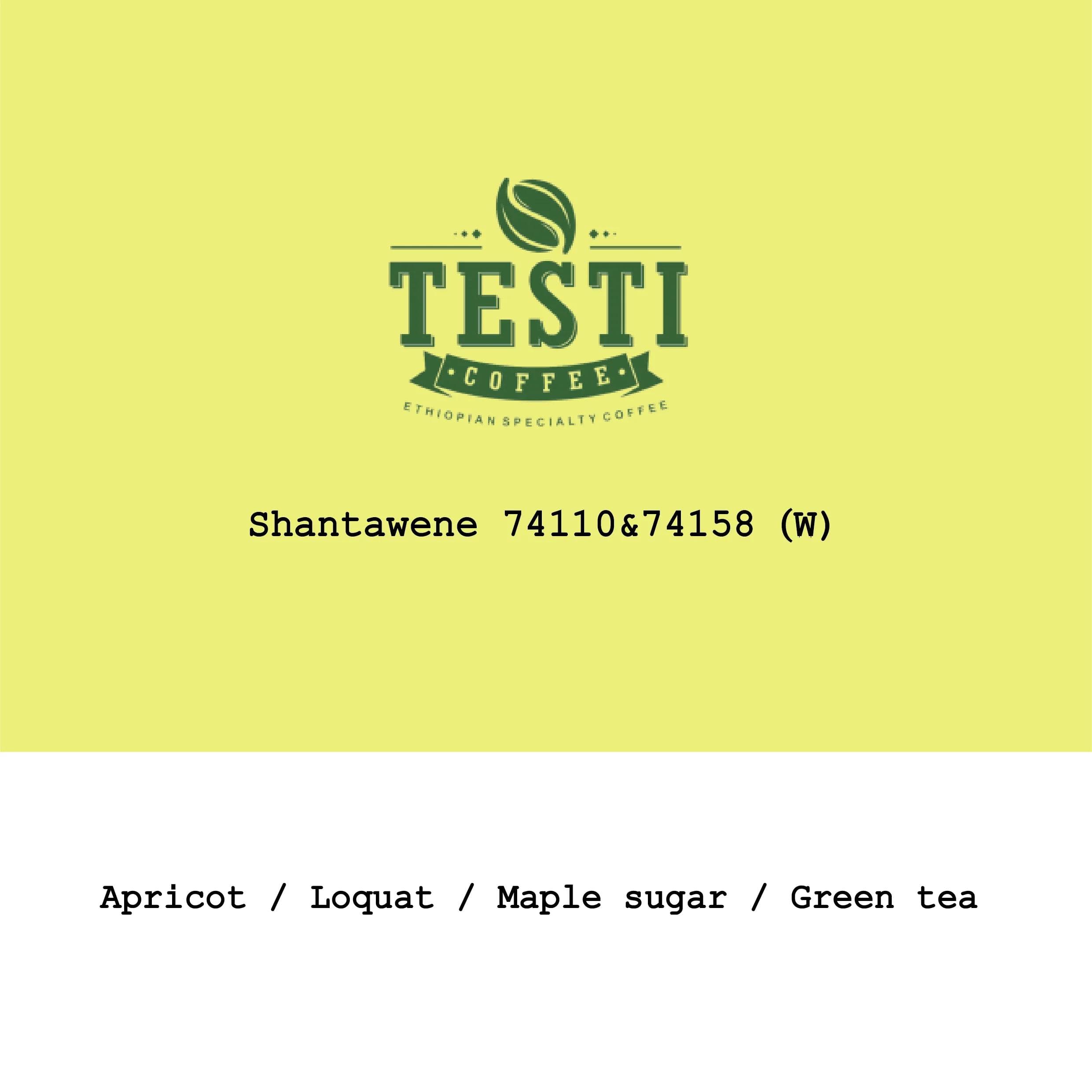 Image of New Crop Ethiopia Testi Ayla Shantawene 74110 74158 Washed