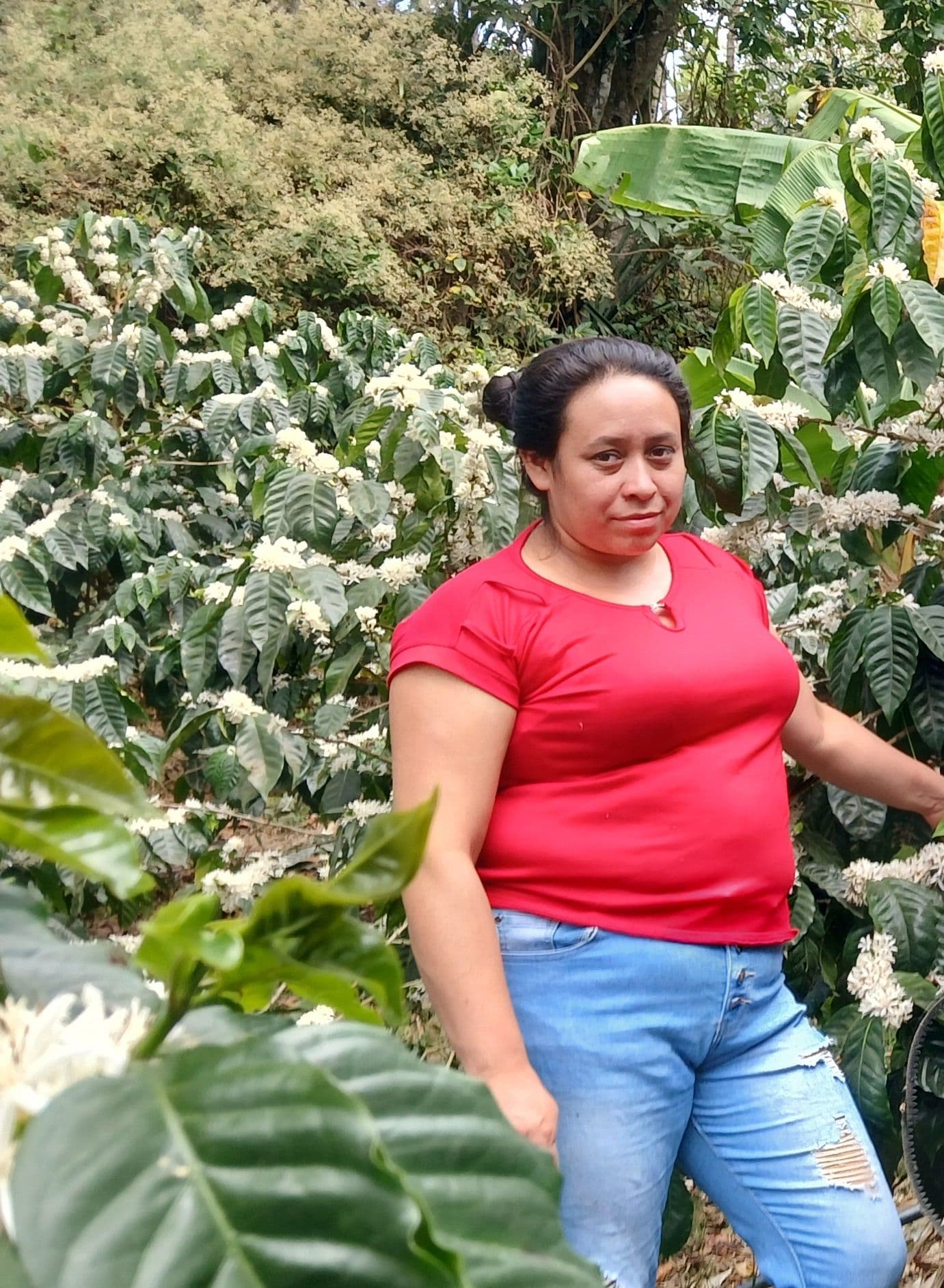 Image of El Salvador Chalatenango La Joya