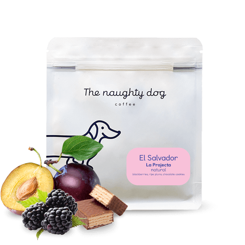 Image of El Salvador The Project