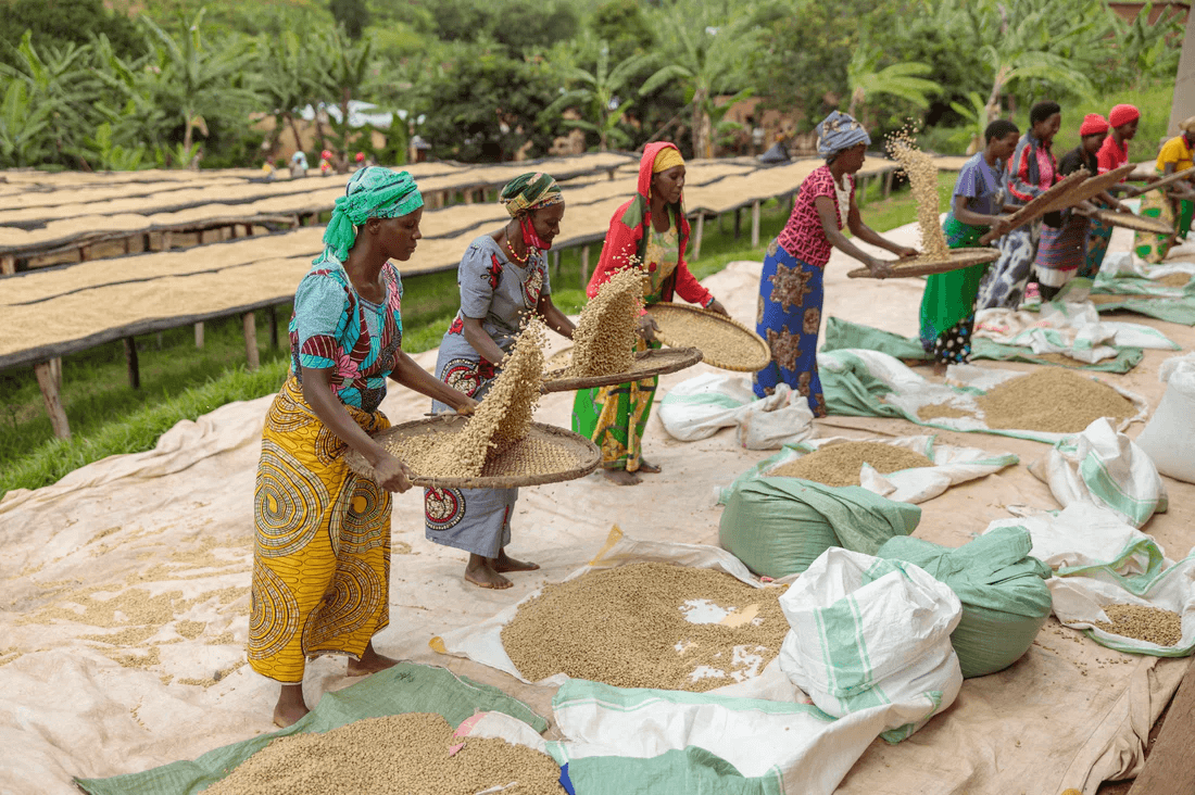 Image of Humure Abishyizehamwe Low Oxygen Natural 