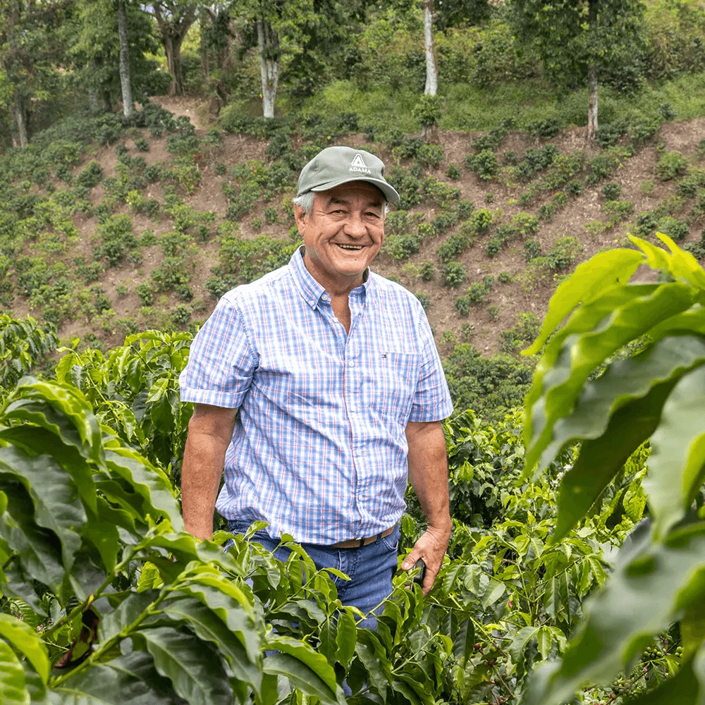 Image of Colombia Santa Monica Honey Litchi