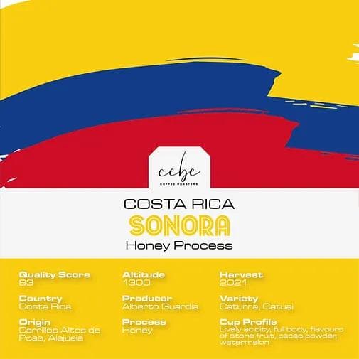 Image of Costa Rica Sonora