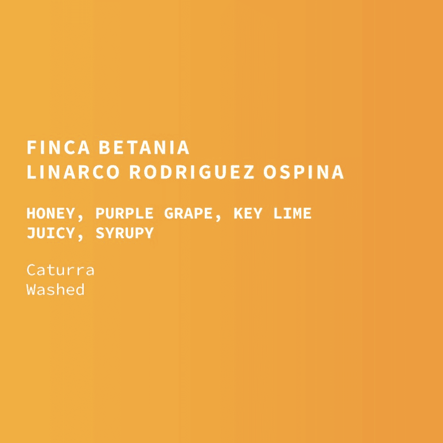 Image of Colombia Finca Betania