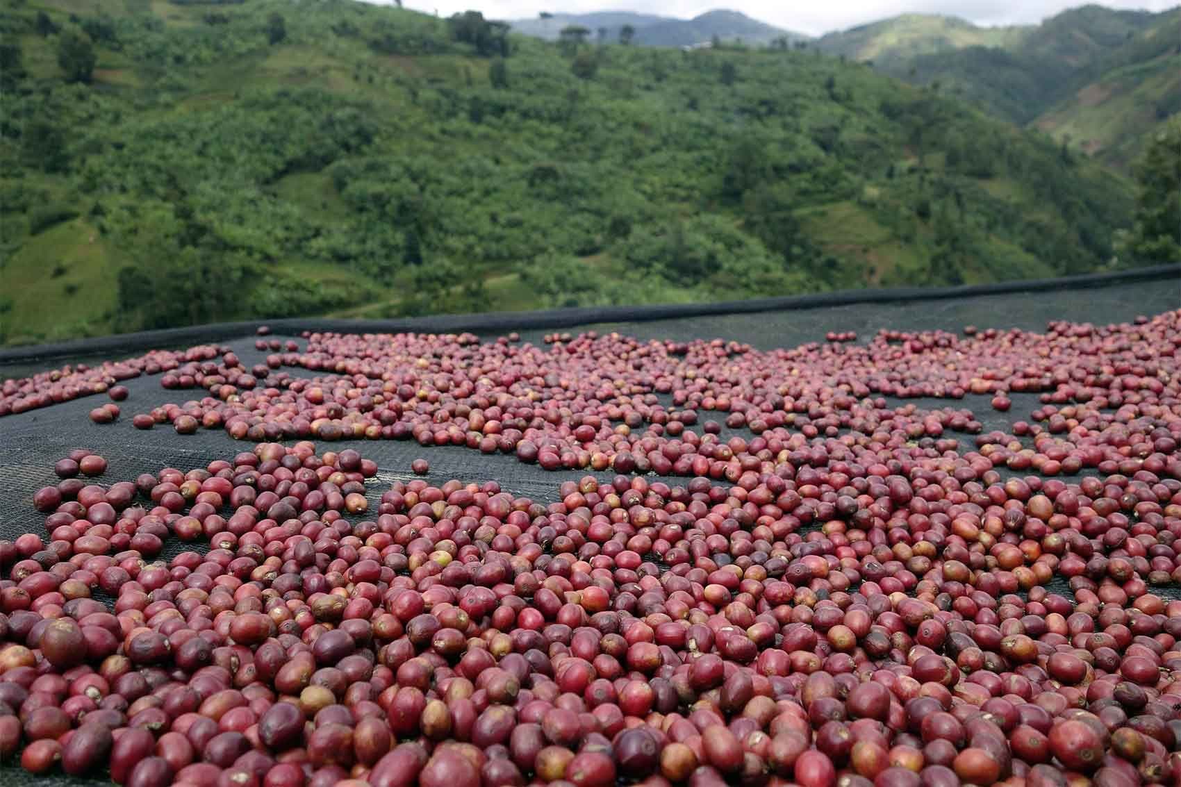 Image of Burundi Sehe