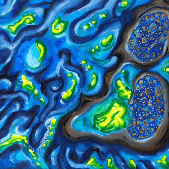 Image of Costa Rica Cordillera del Fuego A16 Anaerobic Honey 