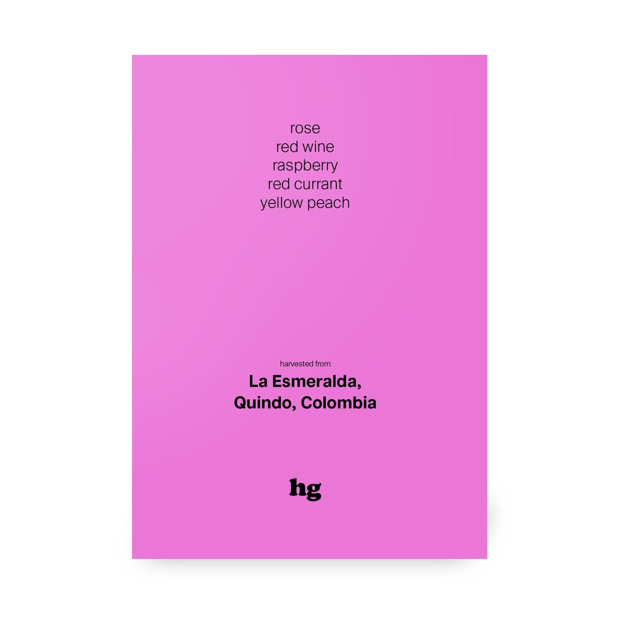 Image of La Esmeralda Pink Bourbon - Natural Colombia