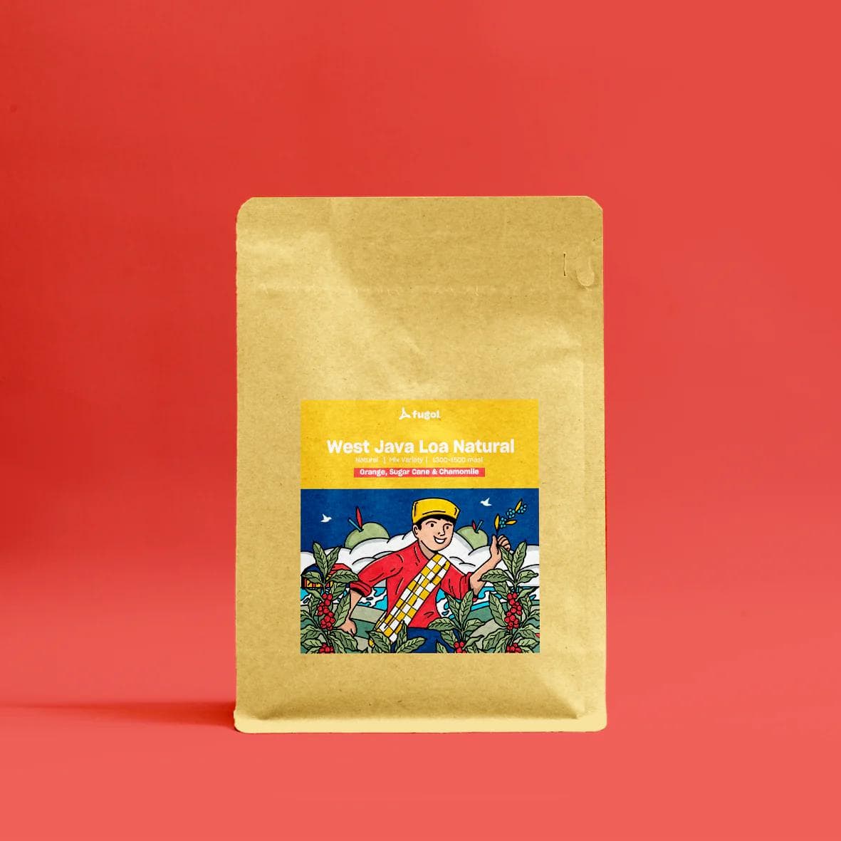 Image of West Java Loa Anaerobic Natural