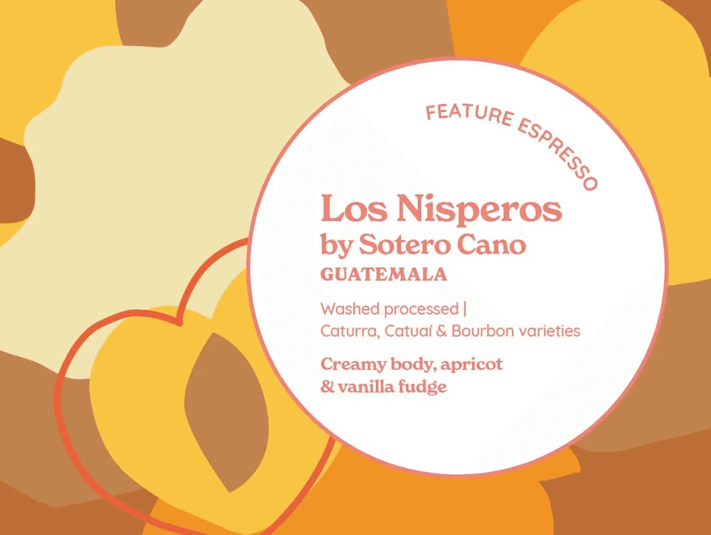 Image of Feature Espresso Los Nisperos