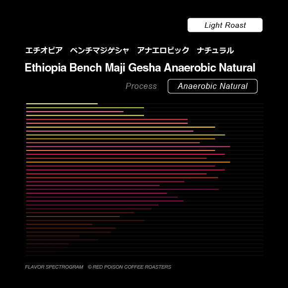 Image of Ethiopia Bench Maji Gesha Anaerobic Natural Light Roast