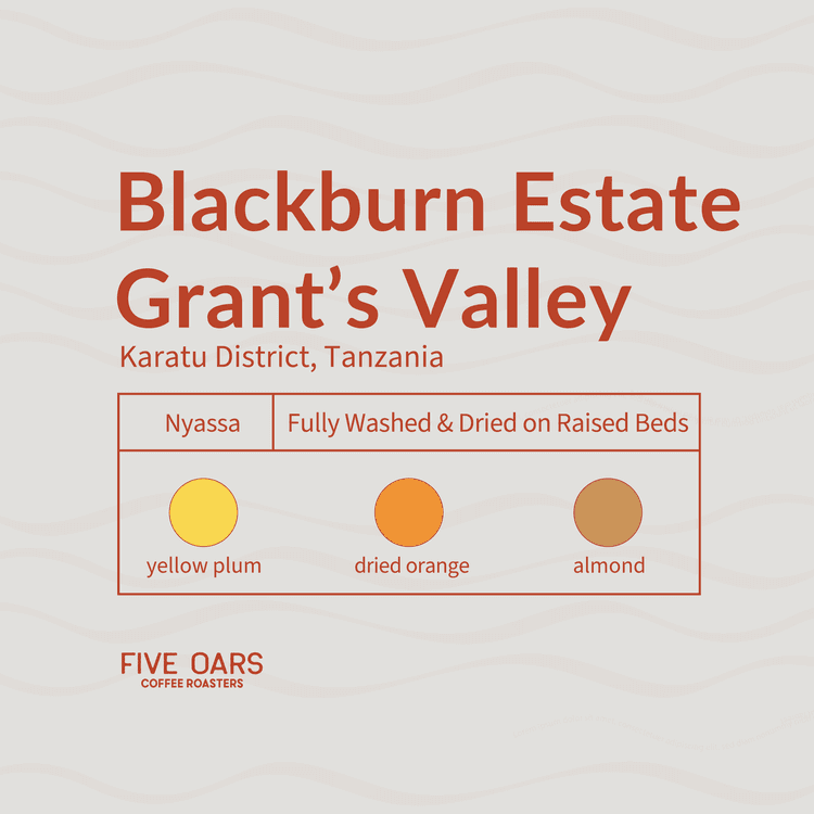 Image of Blackburn Estate Grants Valley
