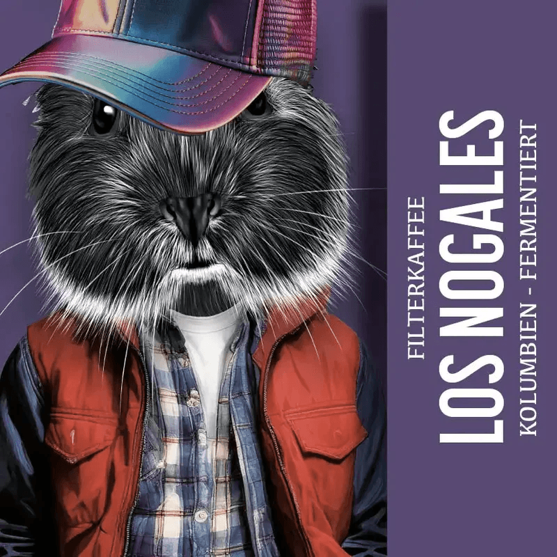 Image of Los Nogales Filter coffee from Colombia