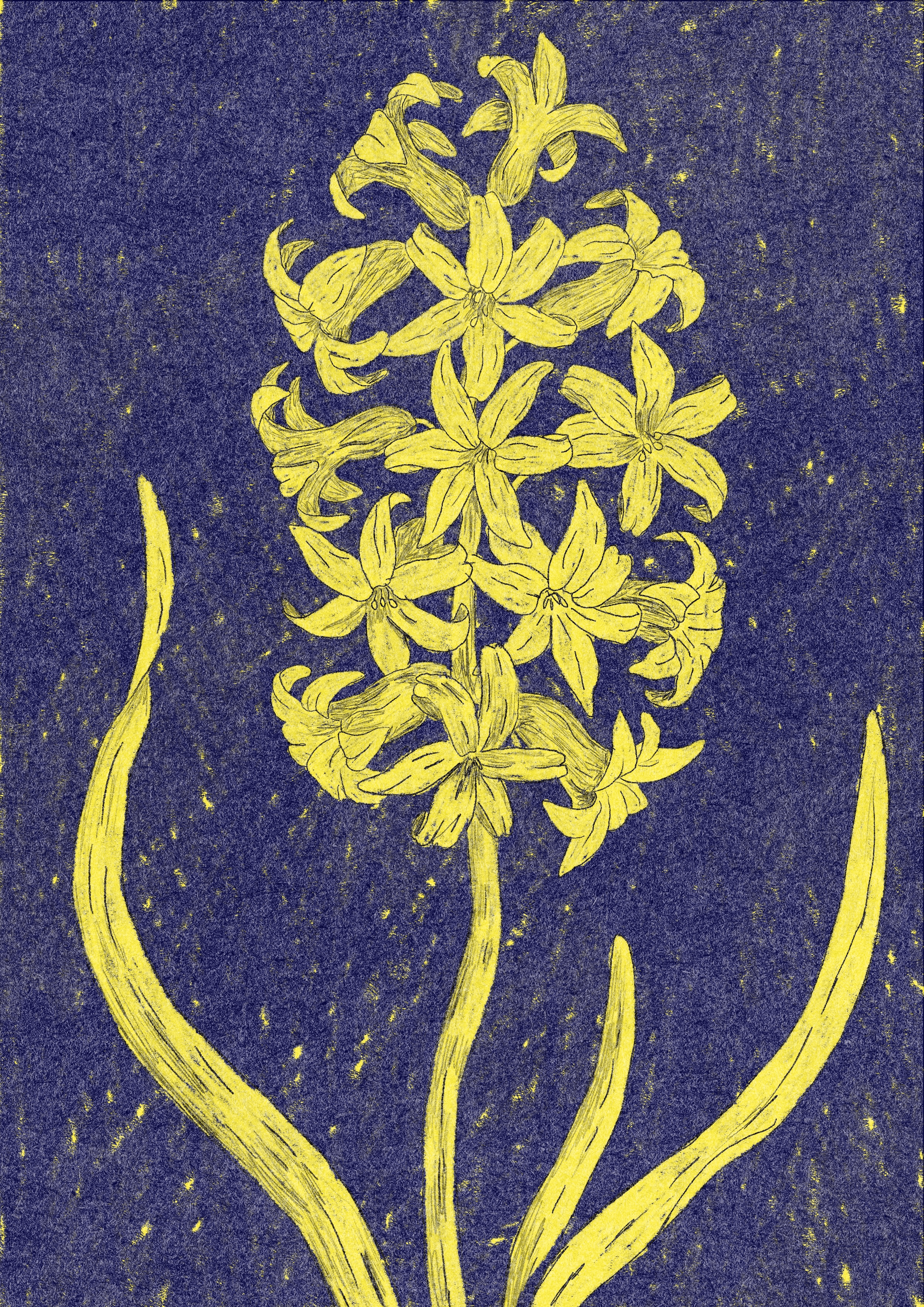 Image of Mystic Flowers Oscar Hernandez