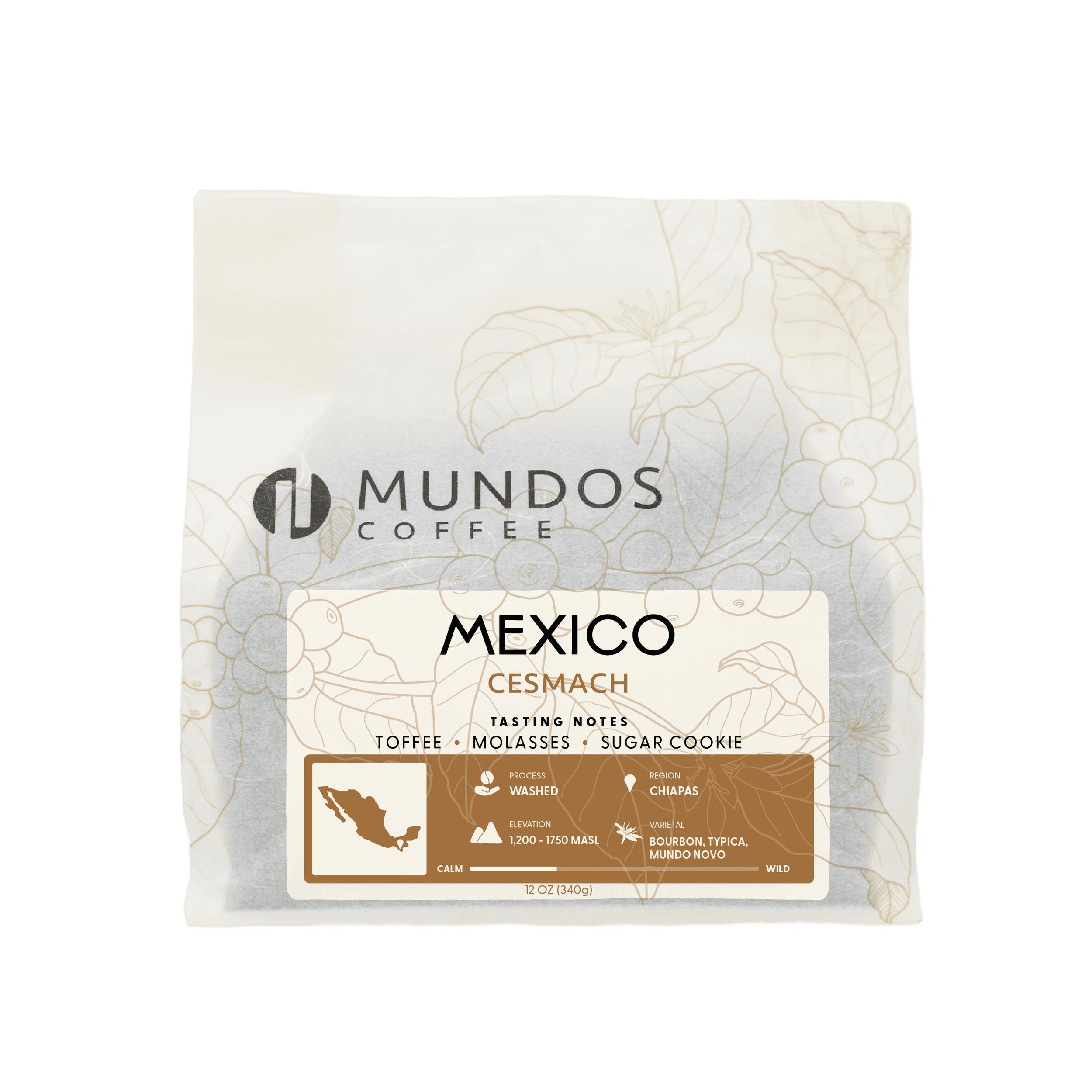 Image of Mexico Cesmach