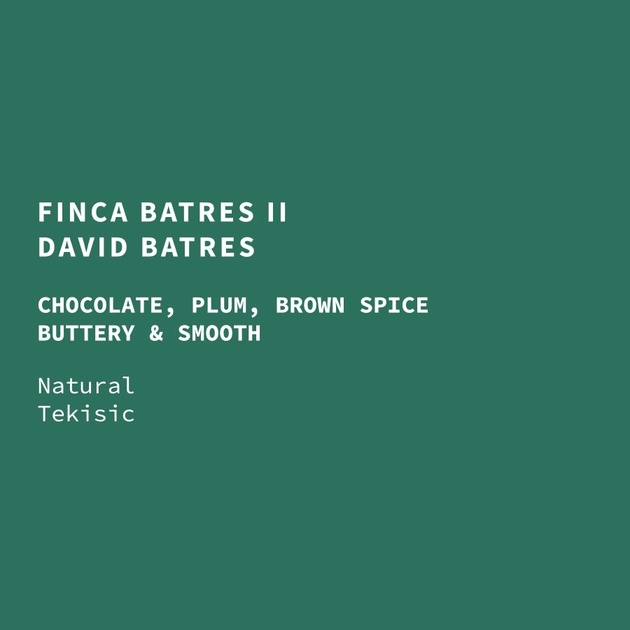 Image of Guatemala Finca Batres II