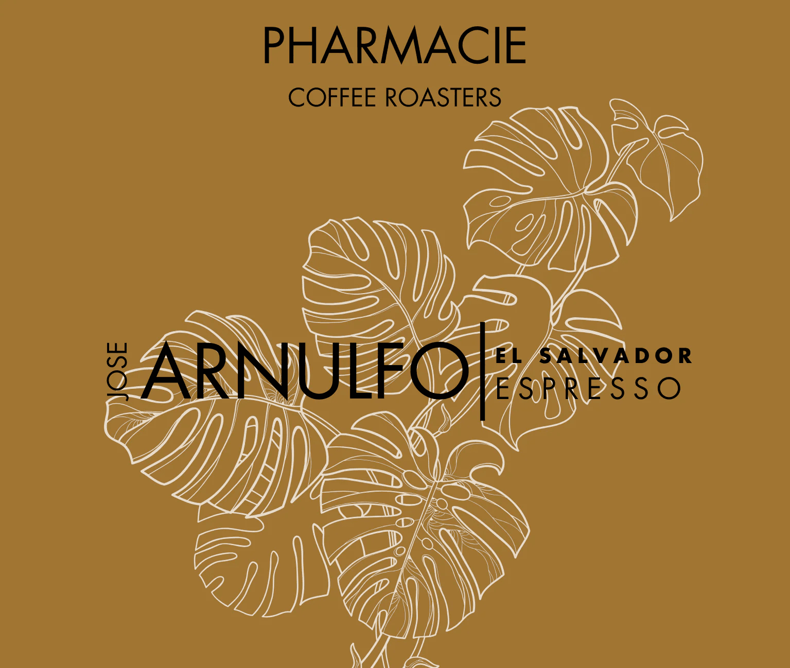 Image of Jose Arnulfo Montiel El Salvador - Espresso