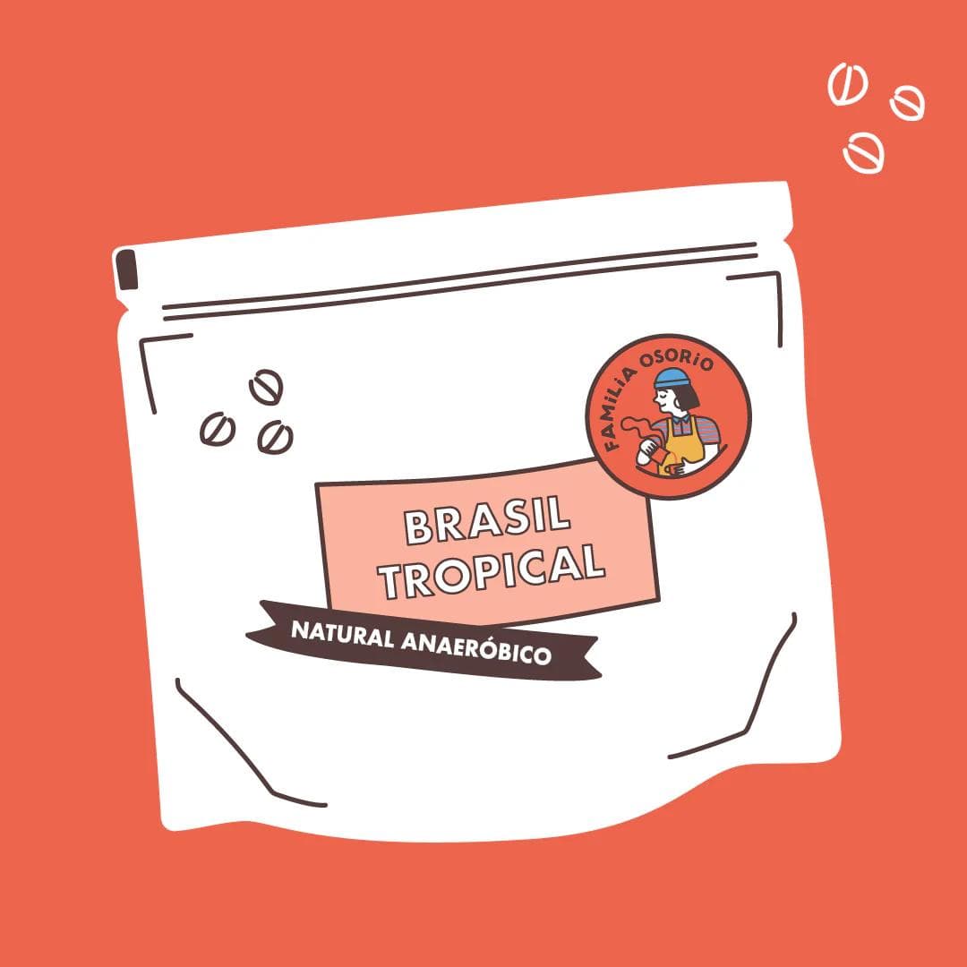 Image of Brazil Tropica Bay