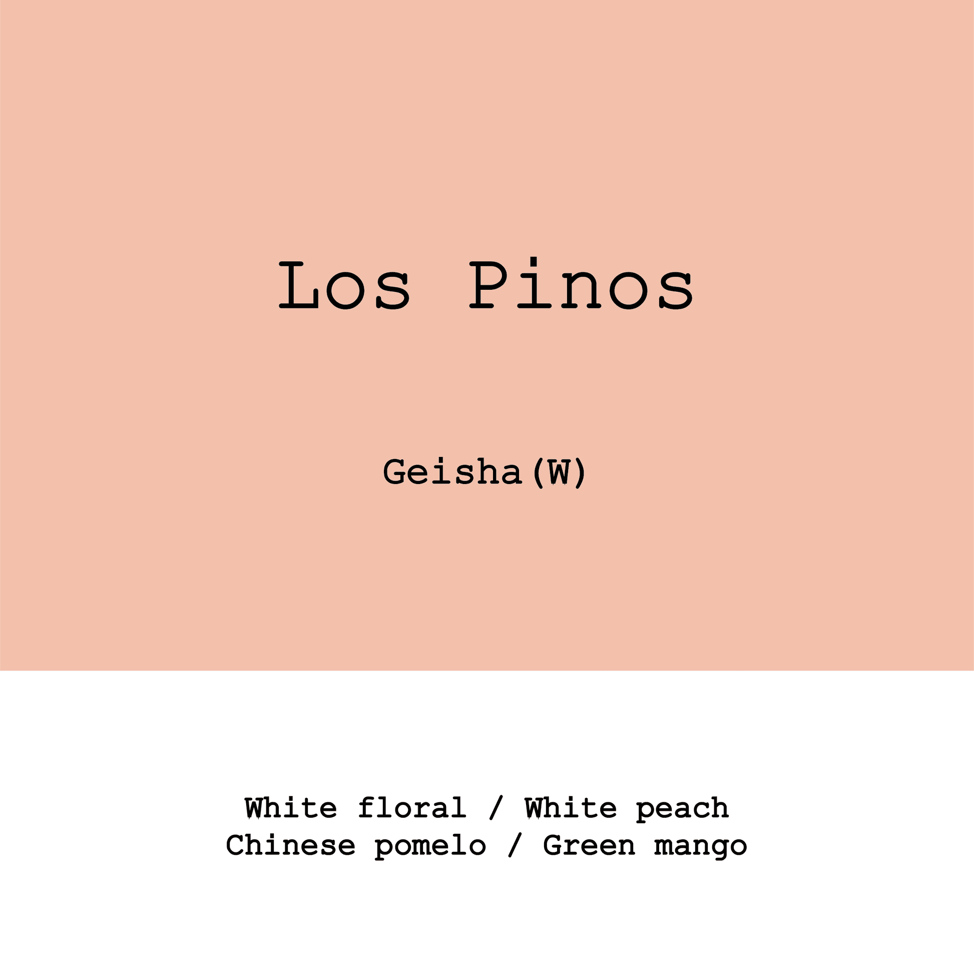 Image of Honduras Los Pinos Geisha Washed