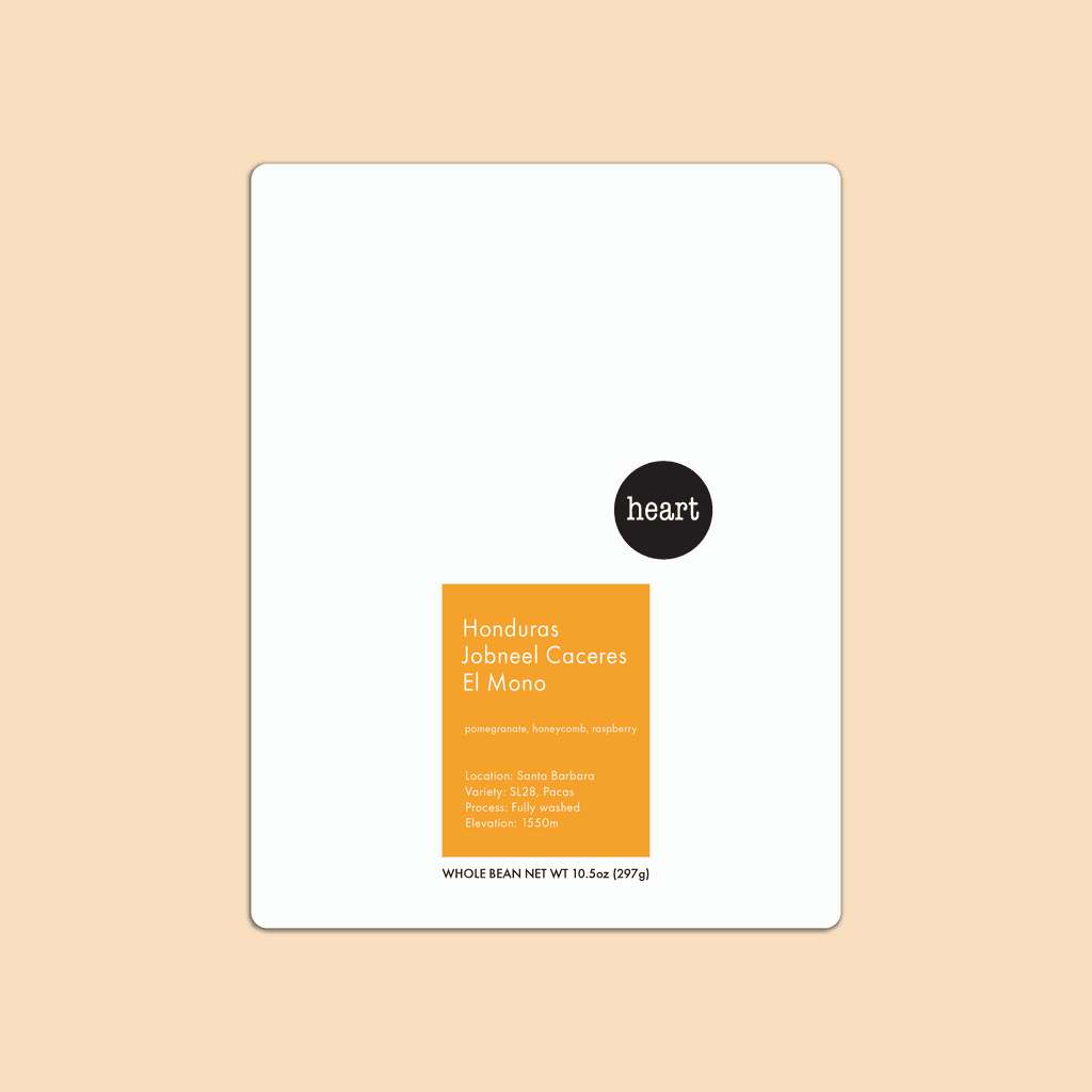 Image of Honduras Jobneel Caceres El Mono