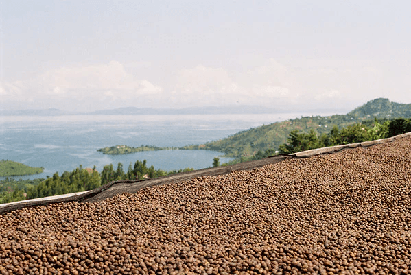 Image of Rwanda - Gishyita