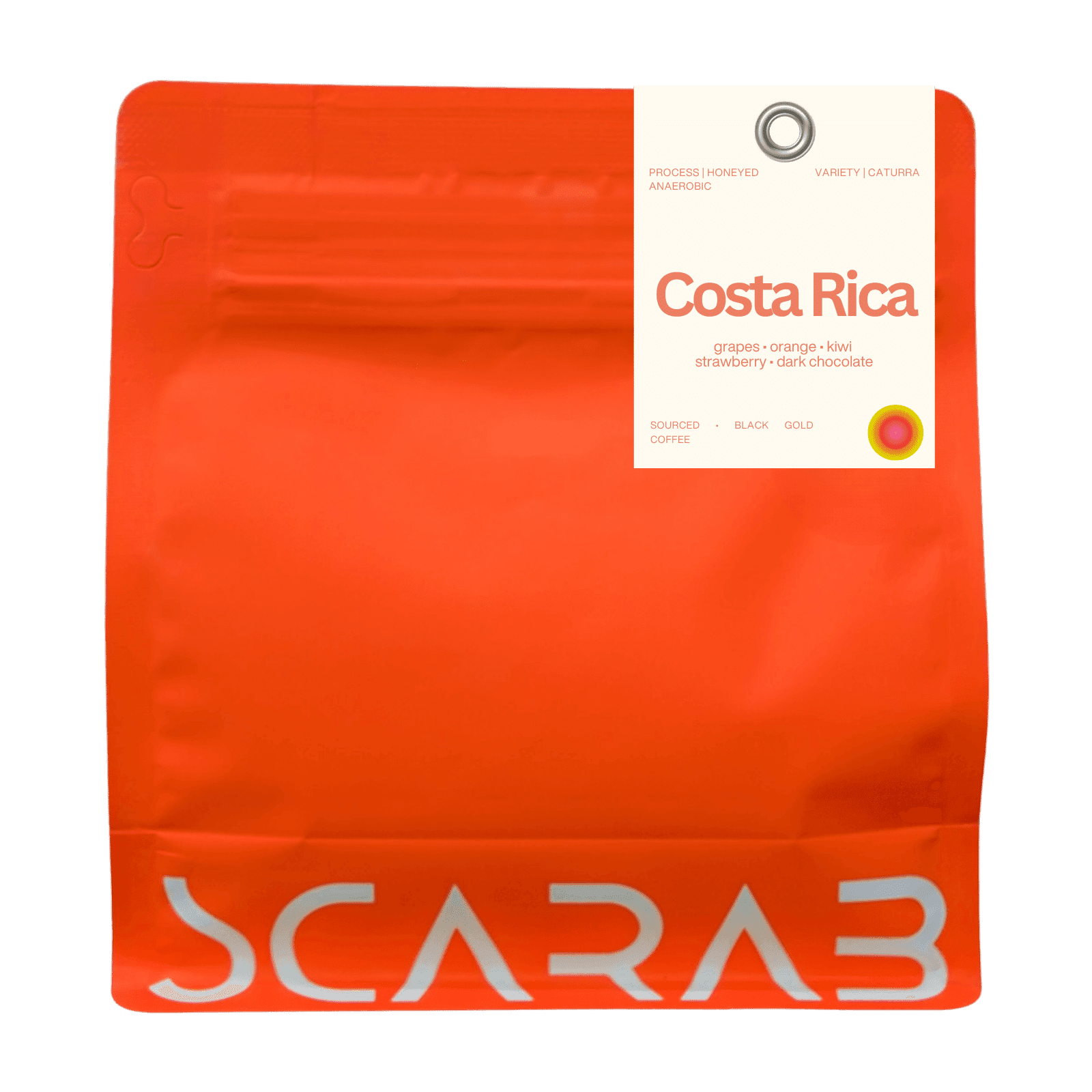 Image of Costa Rica Musician Filter