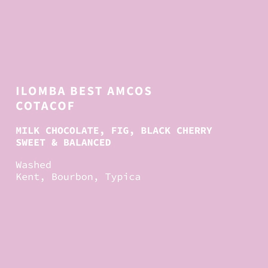 Image of Tanzania Ilomba Best AMCOS