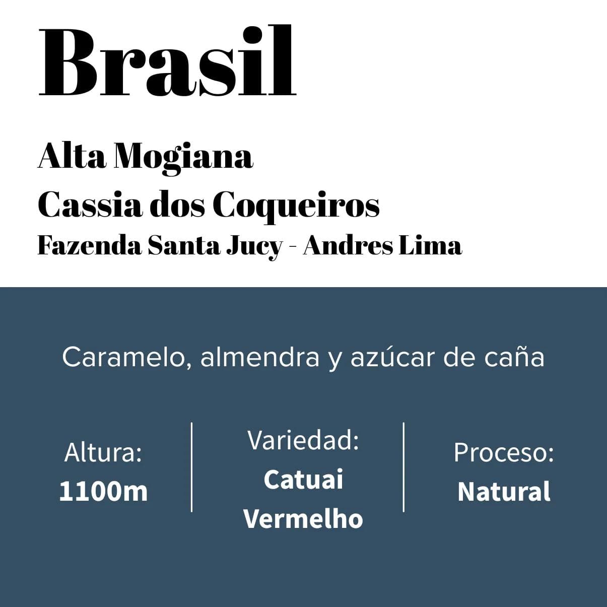 Image of Specialty house coffee - Alta Mogiana - Fazenda Santa Jucy