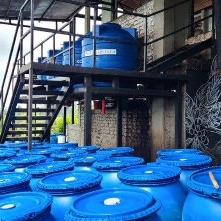 Image of Colombia Circasia Edwin Norena Carbonic Galaxy Hops Cofermented Gesha