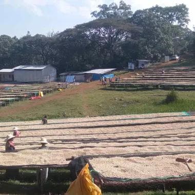 Image of Ethiopia Yukro  Lot 4