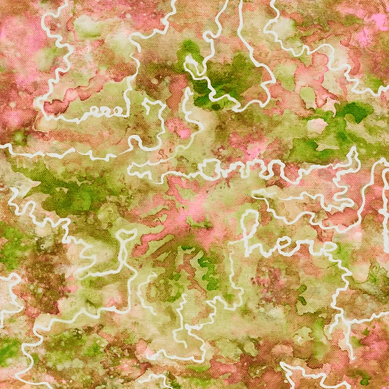 Image of Colombia El Placer White Honey Geisha 