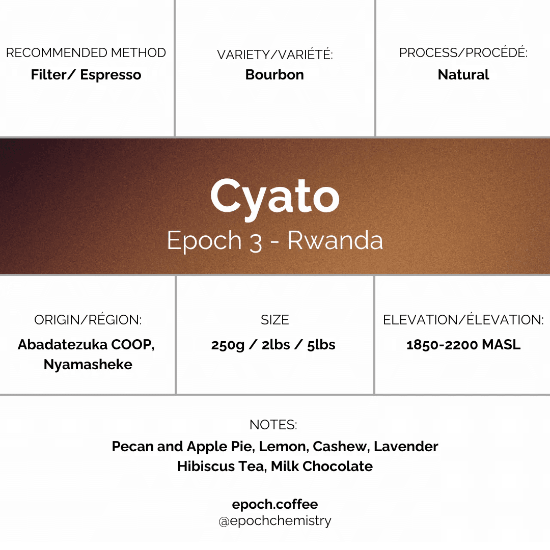 Image of Epoch 3 - Cyato