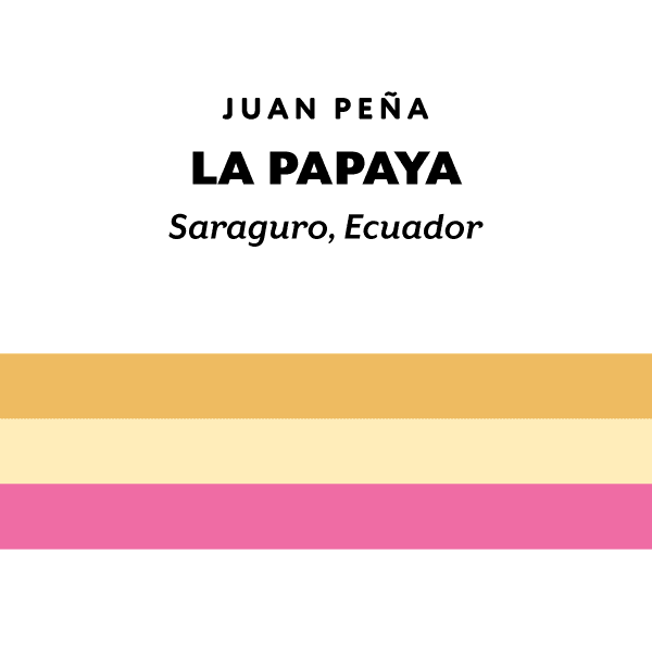 Image of Ecuador La Papaya Typica Mejorado