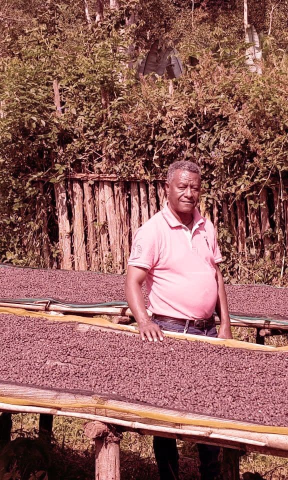 Image of Super Konga