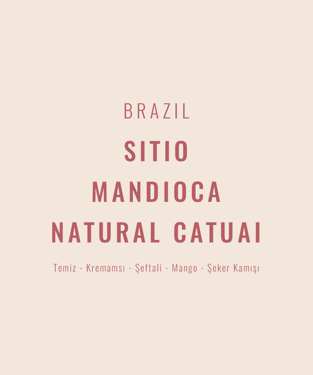 Image of Brazil - Sitio Mandioca Natural Catuai