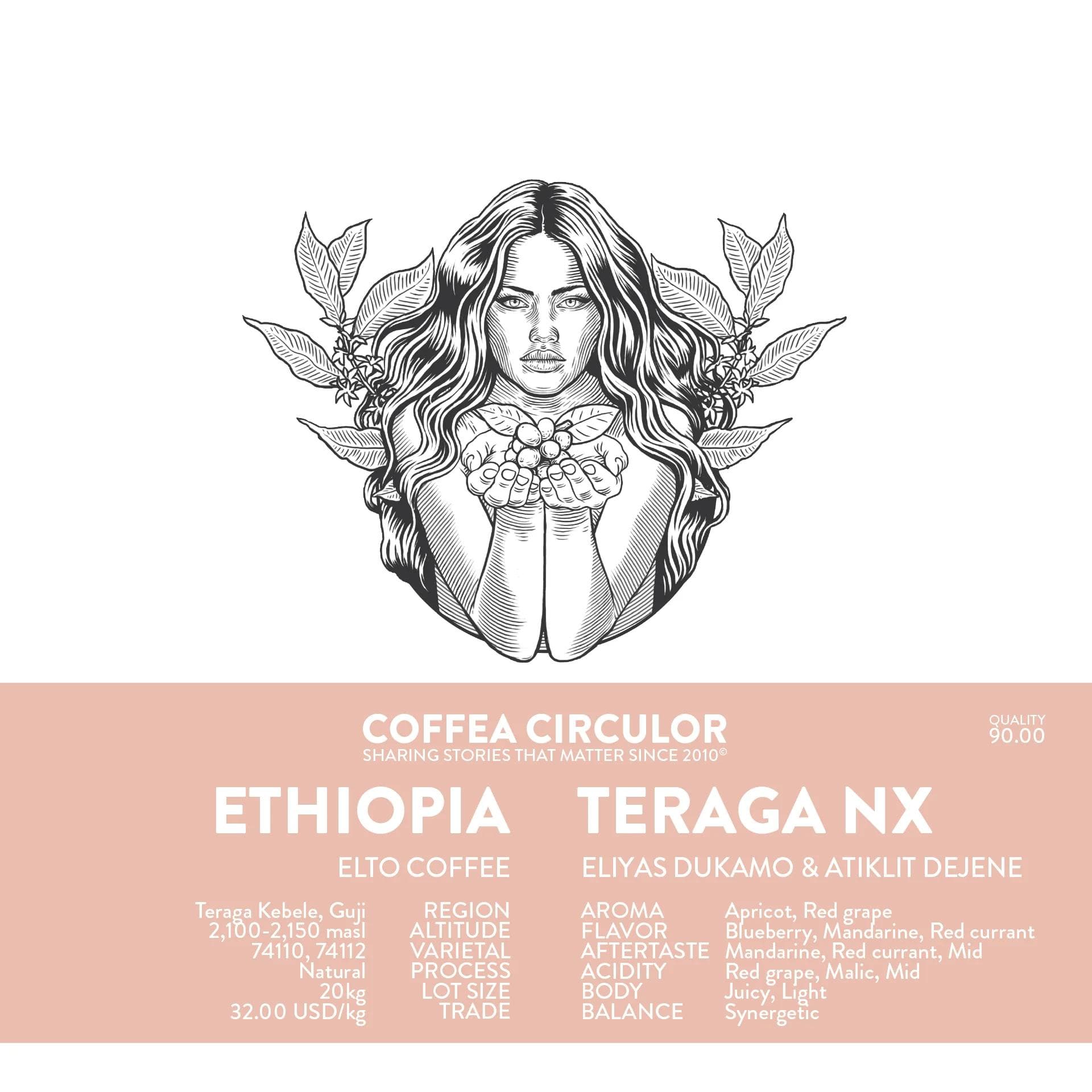 Image of Ethiopia Elto Teraga Natural NX