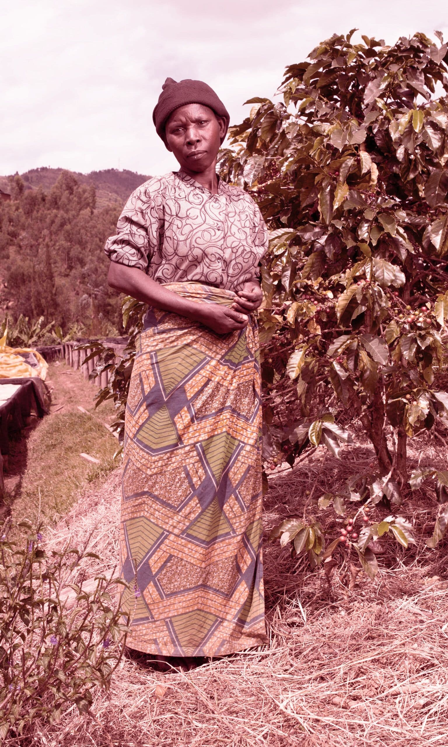 Image of Gitesi A Rwanda