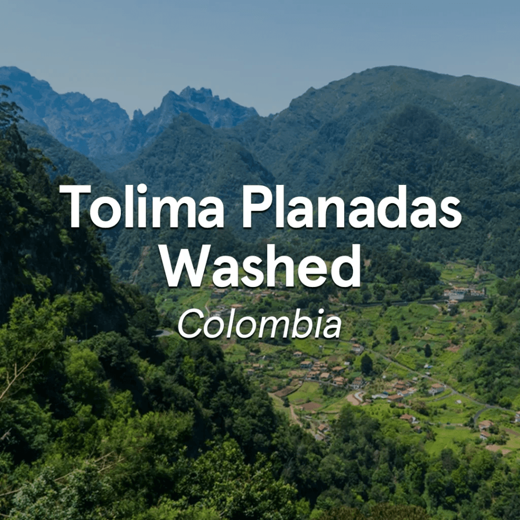 Image of Colombia Tolima Planadas Washed