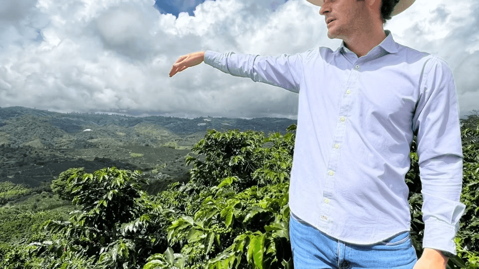 Image of Finca Manantiales Pixiu Bourbon