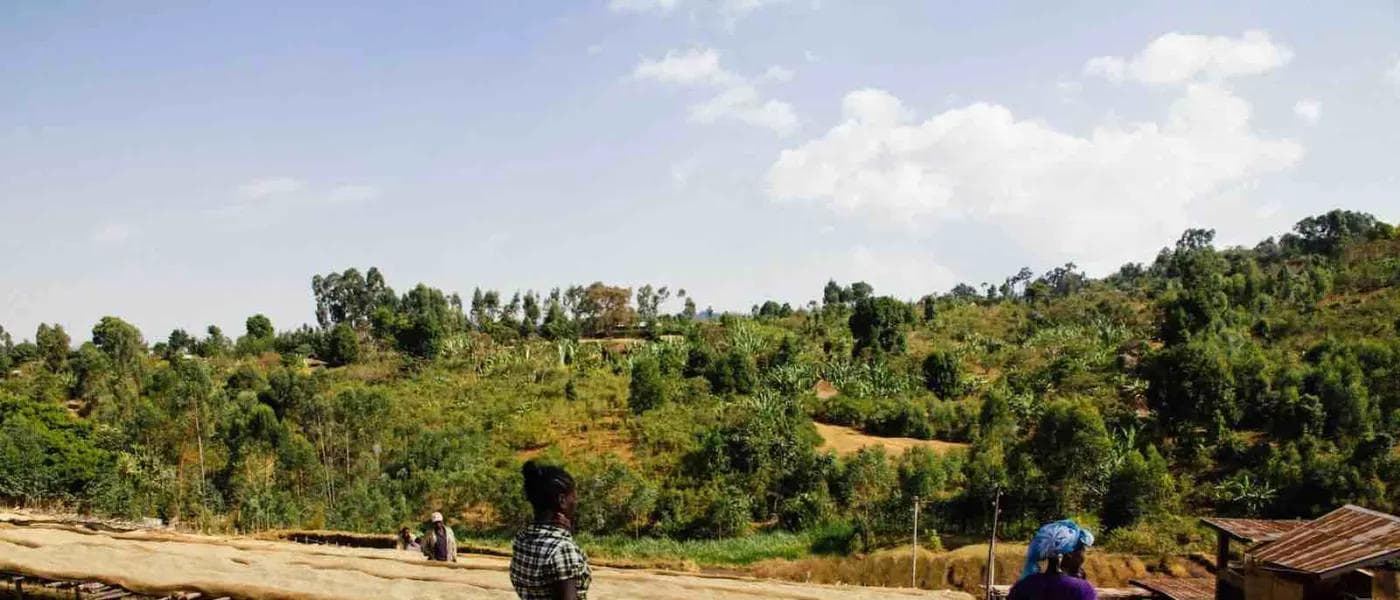 Image of Ethiopia Qilenso