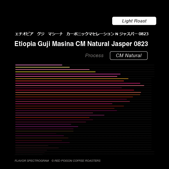 Image of Guji Masina CM Natural Jasper 0823