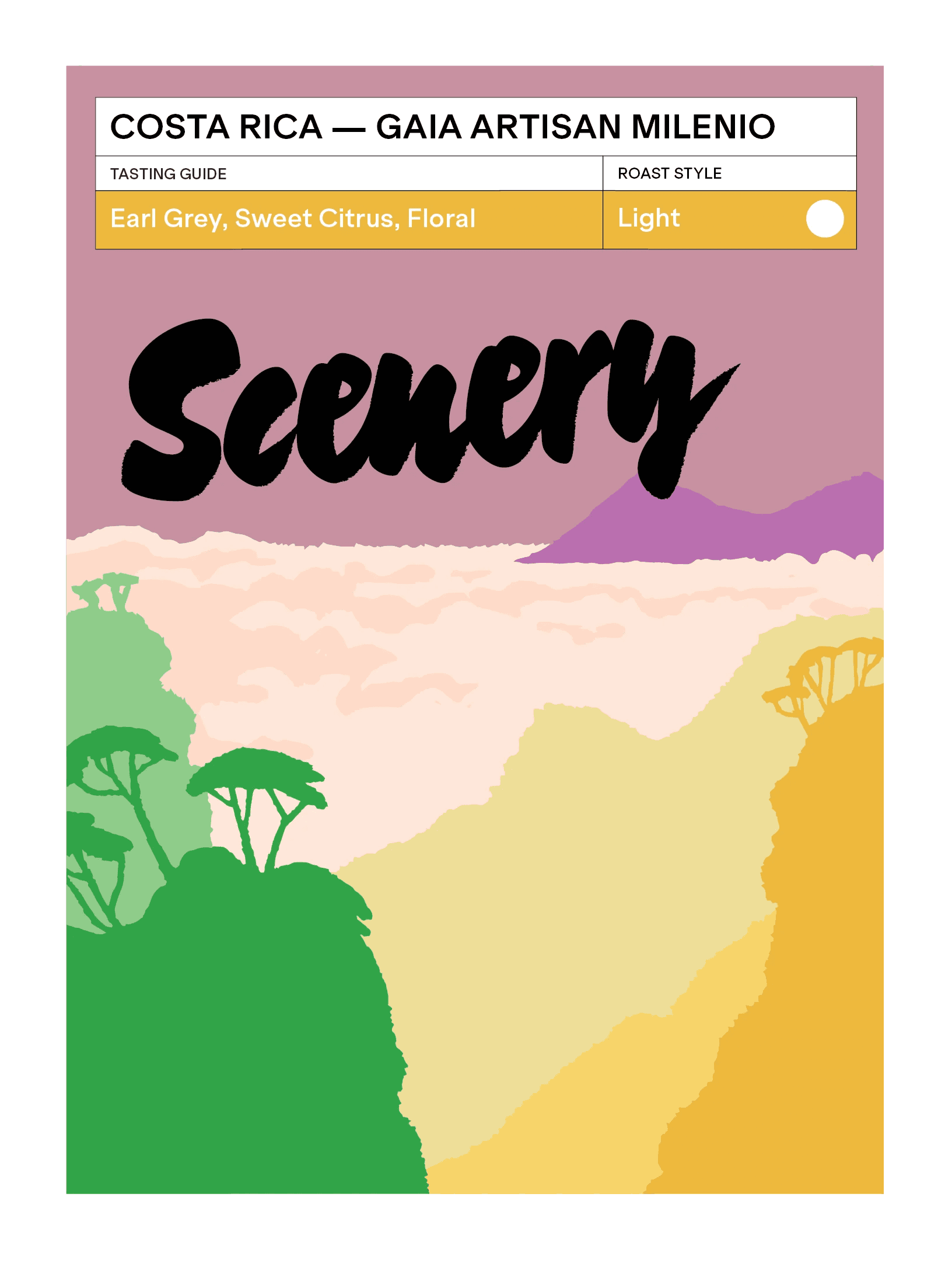 Image of Costa Rica - Gaia Artisan Milenio