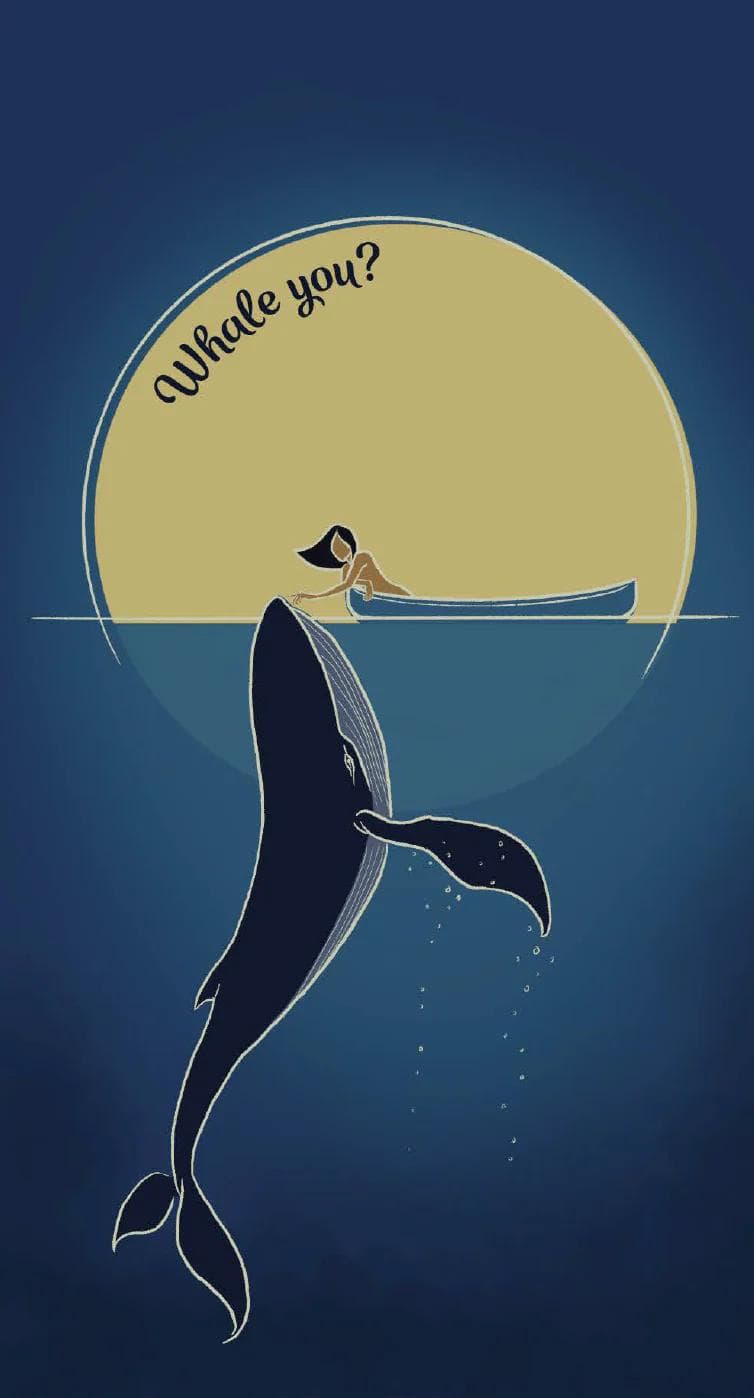 Image of Whale You?