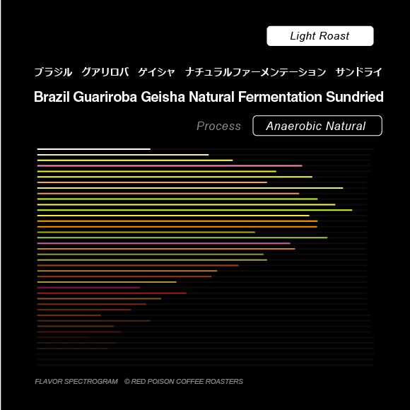 Image of Guariroba Geisha Natural Fermentation Sundried