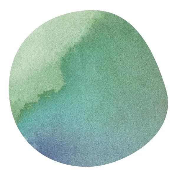 Image of  Stefano Um - Yellow Bourbon - Brazil